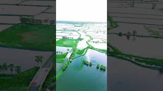 আমাদের গ্রাম Drone View sorts viralshort youtubeshorts dronview [upl. by Htenay]