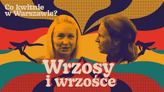 Wrzosy i wrzośce Jak założyć wrzosowisko w ogrodzie [upl. by Ecahc937]