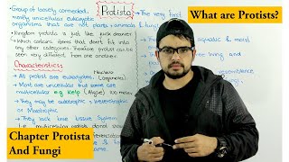 What are Protists  Kingdom Protista Introduction  Protista and Fungi [upl. by Grenier]