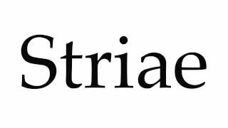 How to Pronounce Striae [upl. by Adihsaar]