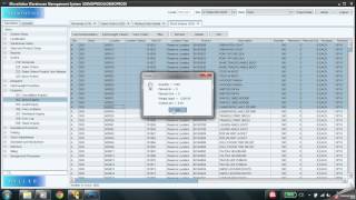 Microlistics WMS  Warehouse Management System Overview [upl. by Tnomal]