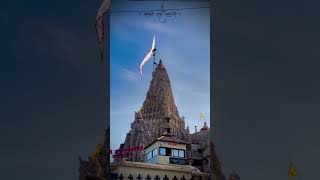 D W A R K A D H I S H♥️✨ dwarkadhish dwarkadhishtemple dwarka trending short live 4k [upl. by Ntsyrk]