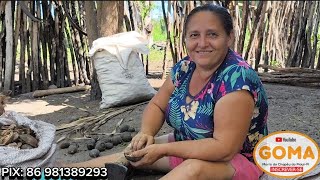 ELA JÁ COMEU CUSCUZ DE CASCA DE COCO BABAÇU POR QUE NÃO TINHA ALIMENTO  GOMA [upl. by Nosahc]