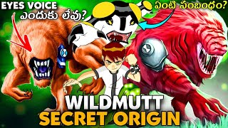 Ben 10 Wildmutt Secret Origin Explained in Telugu  Ben 10 Classic story  Ultimate Wildmutt powers [upl. by Venuti]