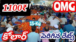 October 13 2024 kolar tomato market ratetoday Kolar tomato market price kolartomato market tomato [upl. by Boleslaw943]