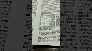 Bible Reading Leviticus Chapter 20 Verse 911 [upl. by Ellah677]