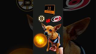 BOSTON BRUINS vs CAROLINA HURRICANES Who Will Reign Supreme shorts [upl. by Ytisahc793]