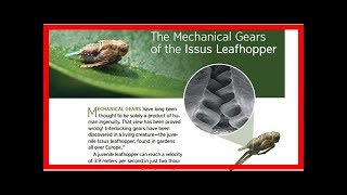 The mechanical gears of the issus leafhopper [upl. by Aurea]