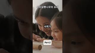 한방차 소개  사위질빵나무의 유래2 시원한tv 한의학 한방차 koreantea [upl. by Zetroc]