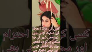 Urdu Shayeri Gazal patato automobile qurantranslationromanurdu love urdutranslation poetry [upl. by Coppins]