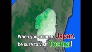 Tochigi Prefecture Promotional Video [upl. by Swen]