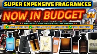 MADE IN UAE PERFUMES at WHOLESALE RATES 🤑🤑 FREE SHIPING IN INDIA 🇮🇳 [upl. by Romain]