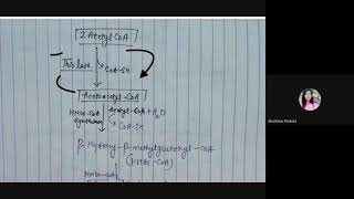 Ketogenesis Formation and utilization of ketone bodies in hindi with easy explanation [upl. by Kirwin]