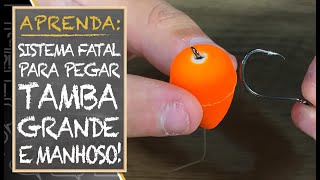 APRENDA SISTEMA FATAL PARA PEGAR TAMBA GRANDE E MANHOSO SISTEMA GOIANO [upl. by Jennica307]