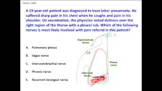 Anatomical basis of pleural referred pain [upl. by Annehsat850]