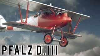 Pfalz DIII Documentary [upl. by Swithbart]