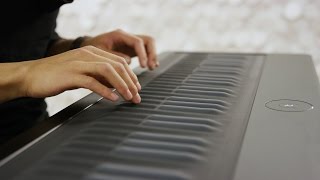 Multitrack Seaboard GRAND performance [upl. by Josie786]