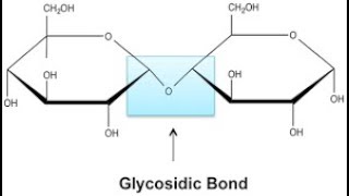 The formation of a Glycosidic bond Tamil [upl. by Oicaroh]