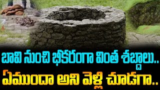 Terrible Strange Noises From The Well  బావి నుంచి భీకరంగా వింత శబ్దాలు ఏముందా అని వెళ్లి చూడగా [upl. by Naziaf]