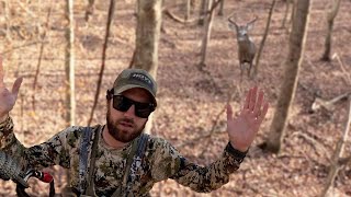 BUCKS EVERYWHERE in OHIO Bowhunting the RUT [upl. by Stedman]