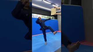 8 TAEKWONDO KICKS  8 BEST TRICKS [upl. by Woodall265]