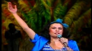 14ELISREGINA  REDESCOBRIR HD 640x360 XVID Wide Screenavi [upl. by Tammany]