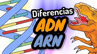 DIFERENCIAS ENTRE ADN y ARN⚡ nivel experto aspectos fundamentalesBIOLOGÍA [upl. by Roque]