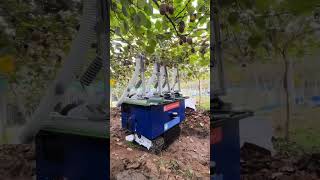 Fruit Picking Robot asmr automobile farming construction shorts machine howtomakedrillmachin [upl. by Enelrad]