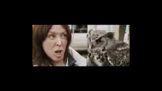 Sightseers 2013 DVDRIP Full Movie Part 2 of 7 [upl. by Qiratla800]