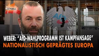 Weber quotAfDWahlprogramm ist Kampfansagequot  nationalsozialistisch geprägtes Europa [upl. by Renaud]