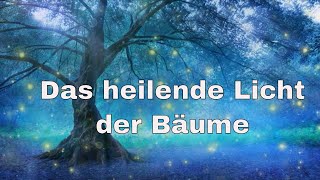 🌳🌲🌴 Das heilende Licht der Bäume 🌳🌲🌴 [upl. by Lodmilla]