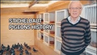 STICHELBAUT PIGEONS HISTORY [upl. by Llovera]