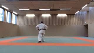 Karaté Shotokan  Kata  Heian Sandan [upl. by Quinton153]