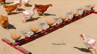 Bebedero y comedero para dar comida y agua fresca a las gallinas y pollos [upl. by Ahsakal]