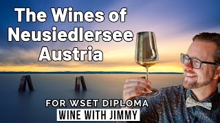 Exploring the wines of Burgenland for WSET Level 4 Diploma [upl. by Yeliac]