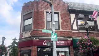 TCT Wilcox Pedestrian Signal at Depot Square In Tuckahoe NY [upl. by Lleret]