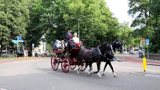 43e Rijtuigendag feestweek Santpoort zaterdag 27 juli 2019 [upl. by Etnom]