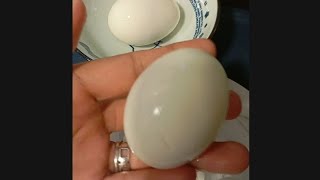 🔴LIVE CRACKING ampPEELING EGGS🥚🥚 TRENDING [upl. by Pilif730]