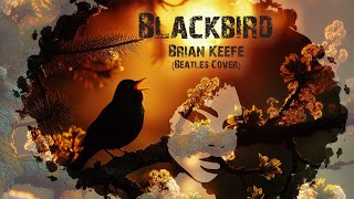 Blackbird Beatles cover by Brian Keefe  acoustic cover classic guitar music video youtube [upl. by Aierbma]