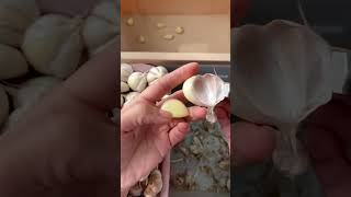 Garlic peeling tool satisfying [upl. by Camm]