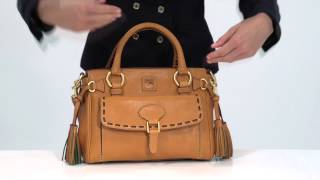 Dooney amp Bourke Florentine Medium Pocket Satchel 8L977 [upl. by Alyos]