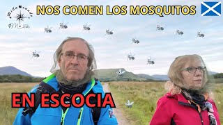 🏴󠁧󠁢󠁳󠁣󠁴󠁿 Los MOSQUITOS de ESCOCIA 🦟 2 ESCOCIA en AUTOCARAVANA by MILLANEANDO 🚐 [upl. by Budwig]