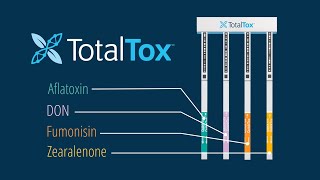 TotalTox Training Video [upl. by Oirottiv]