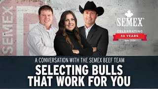 Selecting Bulls that Work for You  2024 Semex Beef Webinar [upl. by Atig]