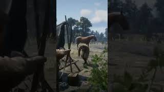 When The Man Try To Defend Himself RDR2 [upl. by Irb]