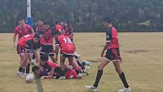 King of the South Maoris Pango U12s vs Silver Stallions Tonga U12s [upl. by Hcirdla]