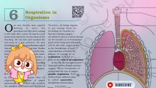 3RESPIRATION IN ORGANISMS CLASS 7 NCERT EXPLANATION SCIENCE [upl. by Pattani]