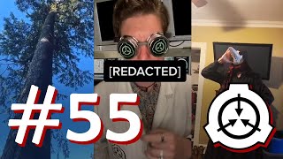 Site42 SCP TikTok Compilation 55 [upl. by Fleeta]