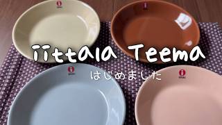 iittala ティーマの食器をはじめて購入しました【開封動画】 [upl. by Foss57]