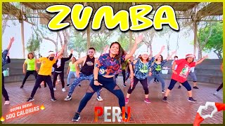 Rutina DANCE FITNESS  Zumba QUEMA Grasa 🔥 Bailoterapia [upl. by Phylis]